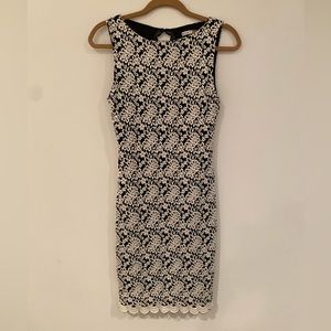 alice + olivia black and white, open back, midi dress, size 6